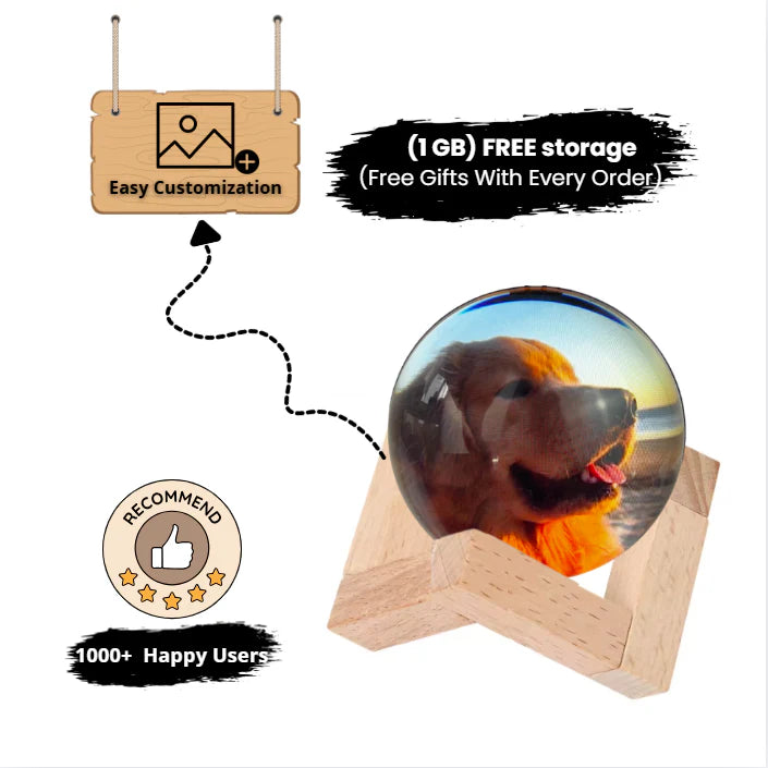 HoldMyPaw Orb
